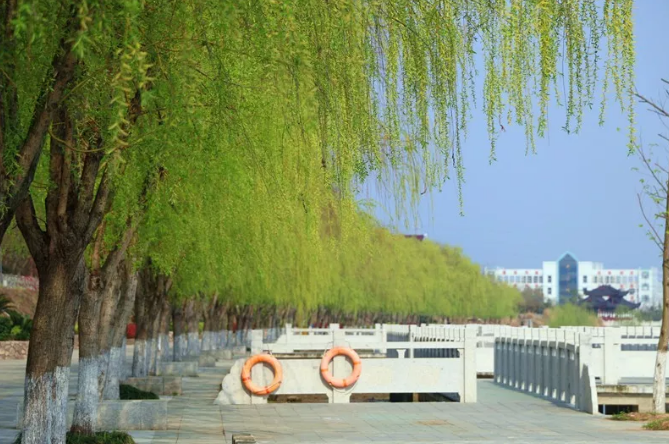 图片 2.png