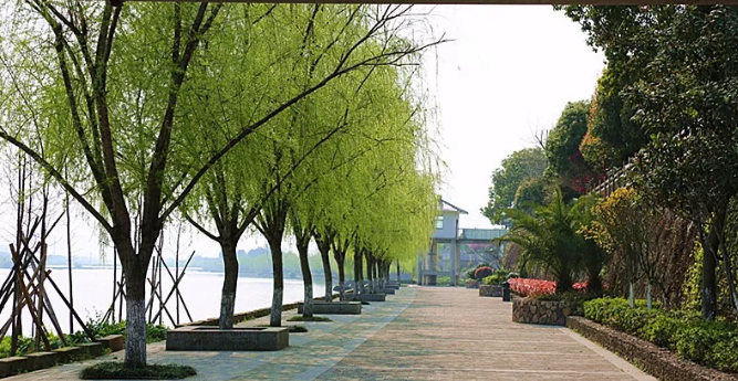 图片 28.png