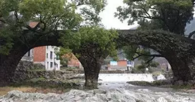 图片 9.png