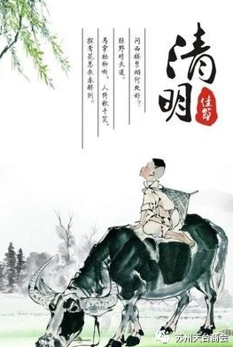 图片 3.png